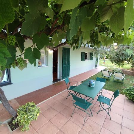 Independent apartment with a fabulous patio - Casa Penny Cisano sul Neva Bagian luar foto