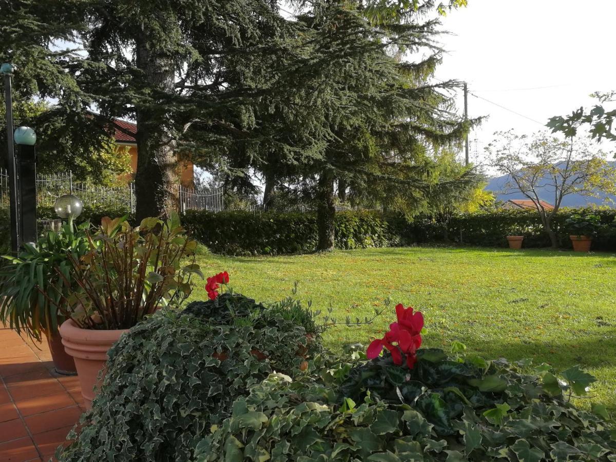 Independent apartment with a fabulous patio - Casa Penny Cisano sul Neva Bagian luar foto